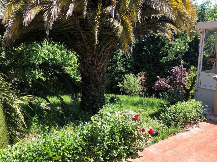 La Casona De La Carbayeda Villa Oviedo Kültér fotó